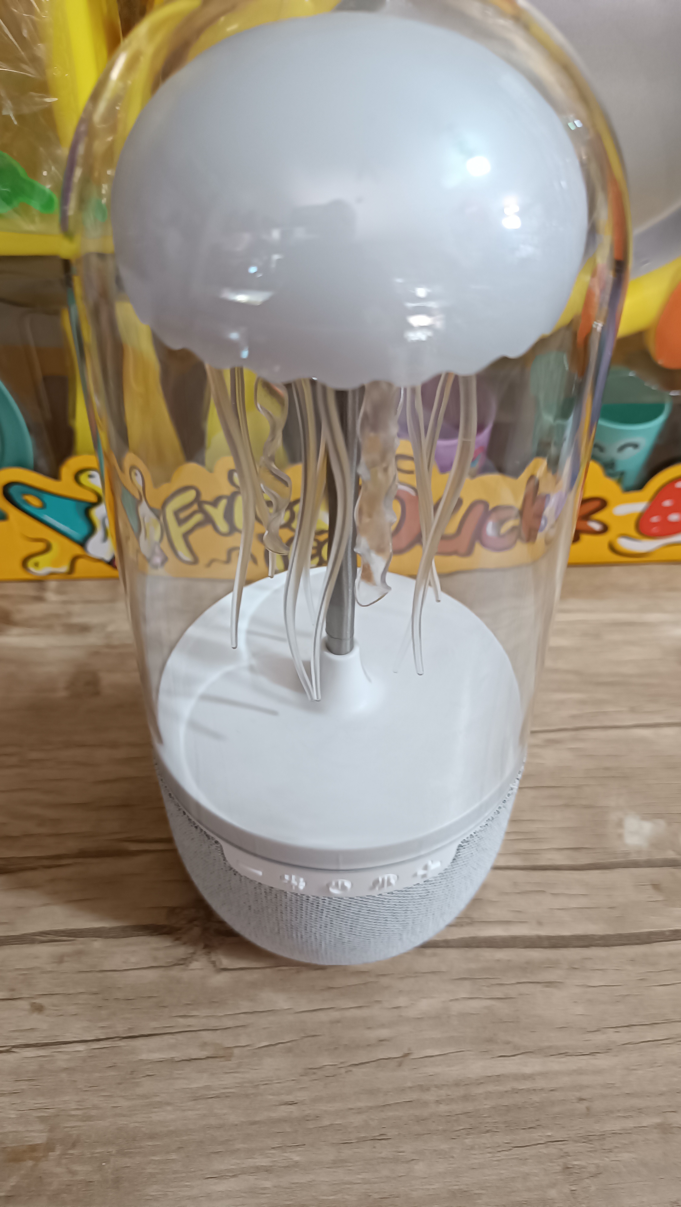 چراغ خواب و عروس دریایی کد 54